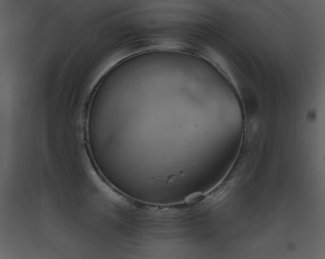 X0000093560851200710221421