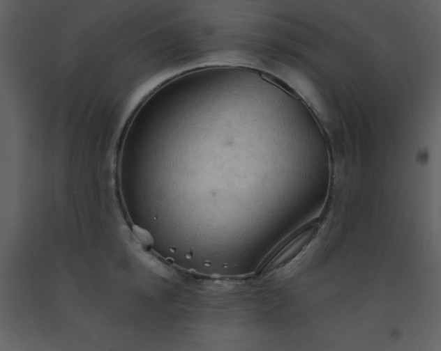 X0000093560854200710221421