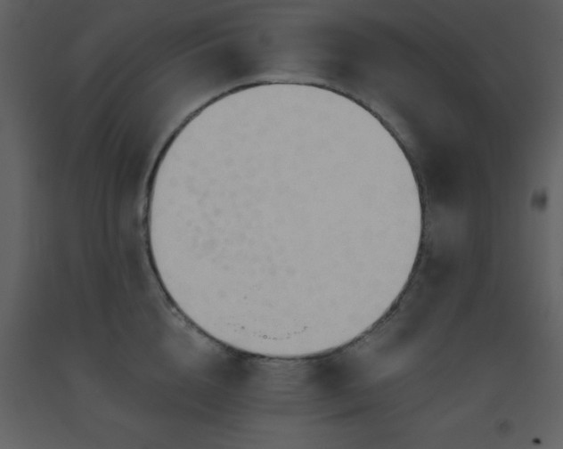 X0000093560856200710221421