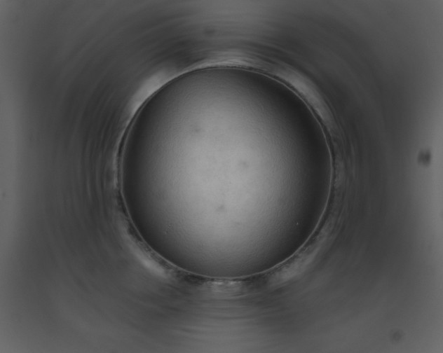 X0000093560858200710221421