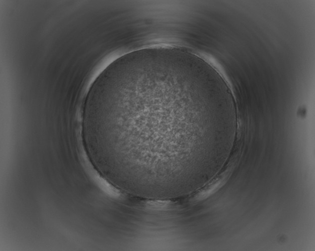 X0000093560859200710221421