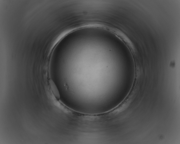 X0000093560860200710221421