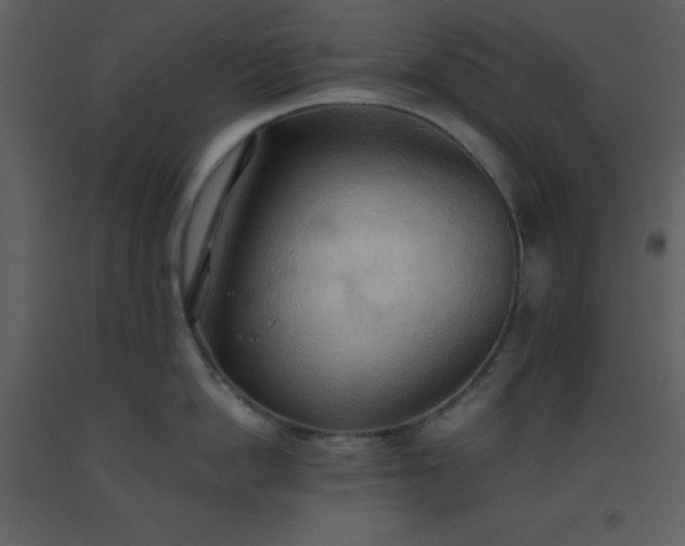 X0000093560862200710221421