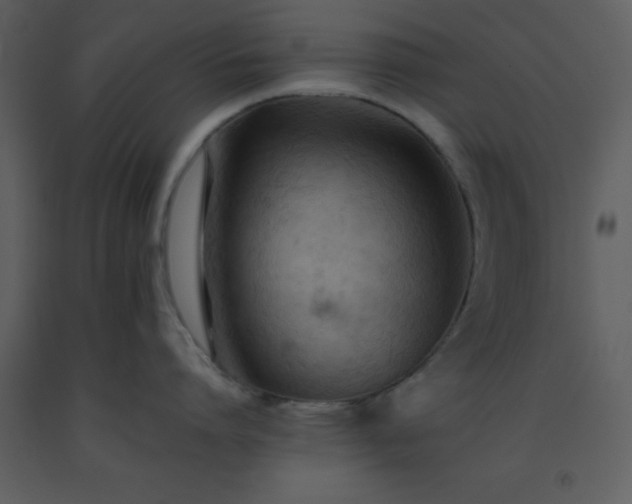 X0000093560864200710221421