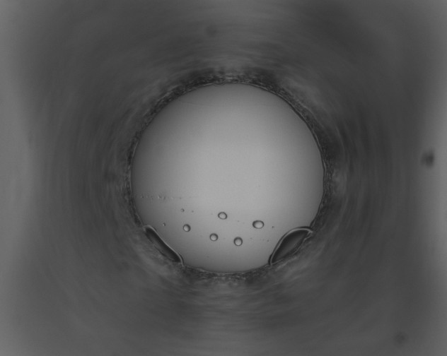 X0000093560865200710221421