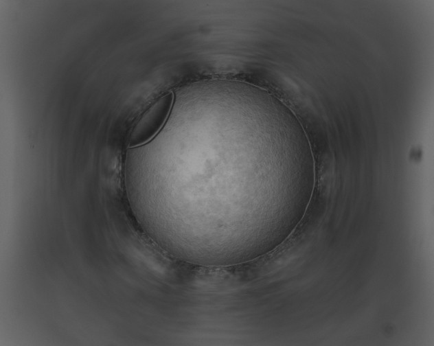 X0000093560866200710221420