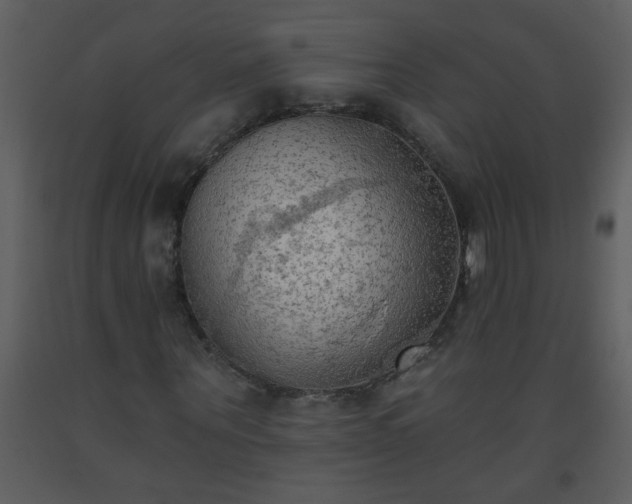 X0000093560867200710221420