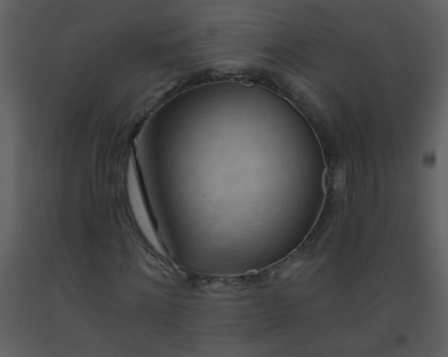 X0000093560868200710221420