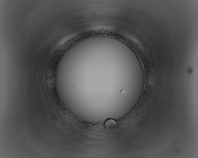 X0000093560869200710221420