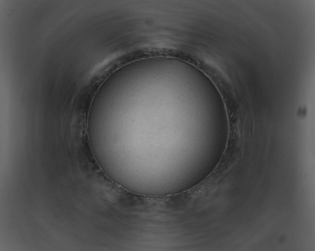X0000093560870200710221420