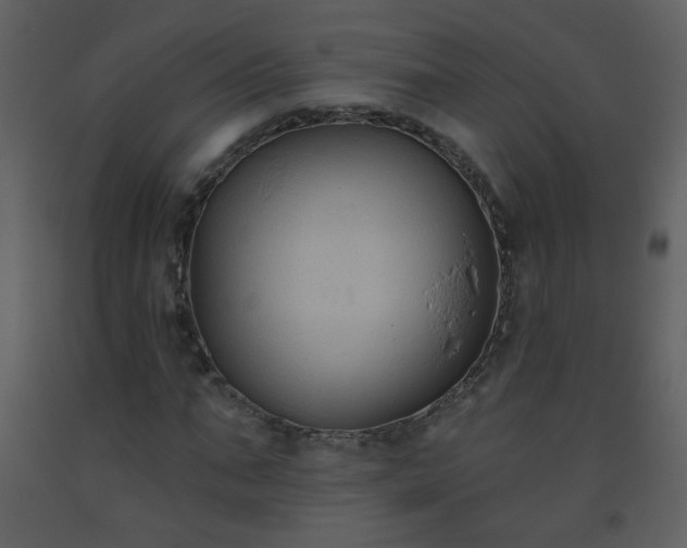 X0000093560871200710221420