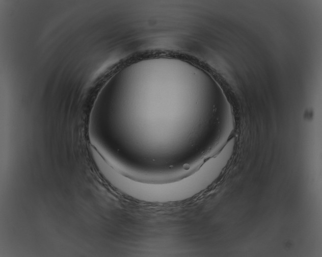 X0000093560872200710221420