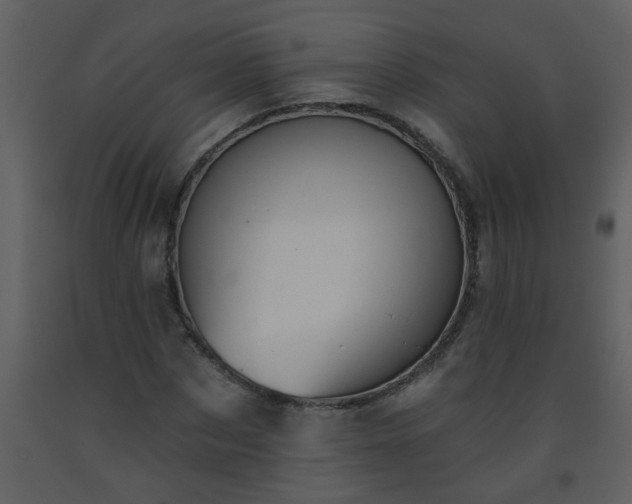 X0000093560873200710221420