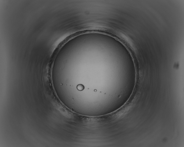 X0000093560875200710221420