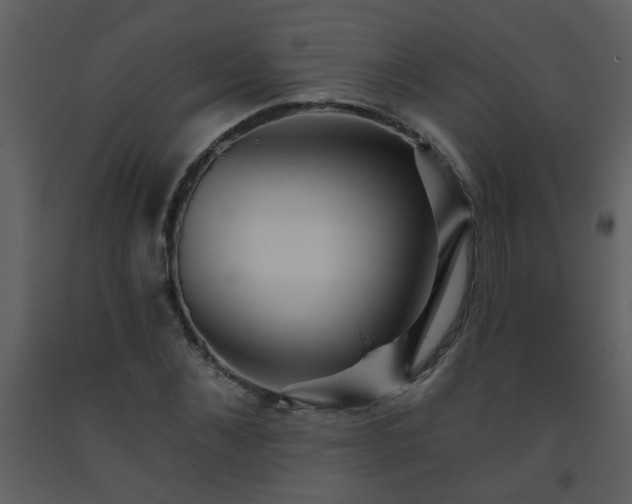 X0000093560876200710221420