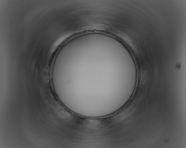 X0000093560878200710221420