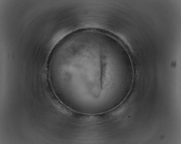 X0000093560879200710221420