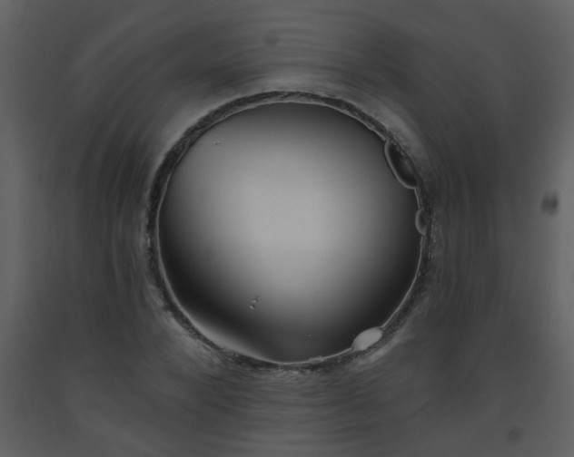 X0000093560880200710221420
