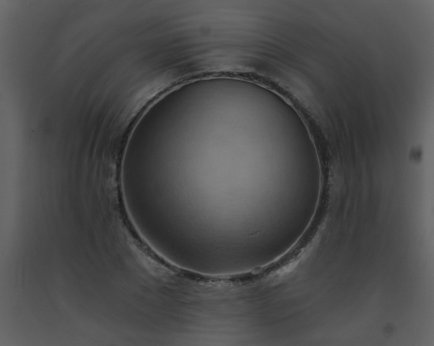 X0000093560881200710221420