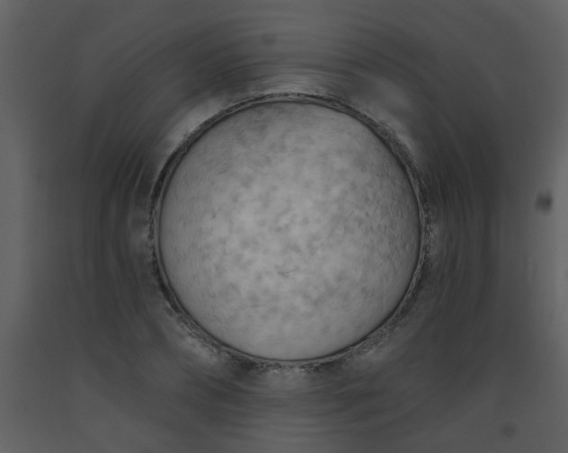 X0000093560882200710221420
