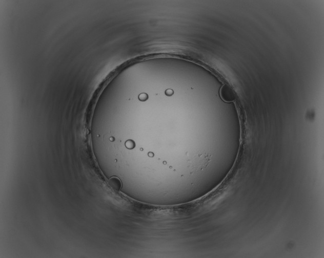 X0000093560883200710221420
