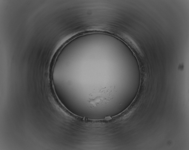 X0000093560884200710221420