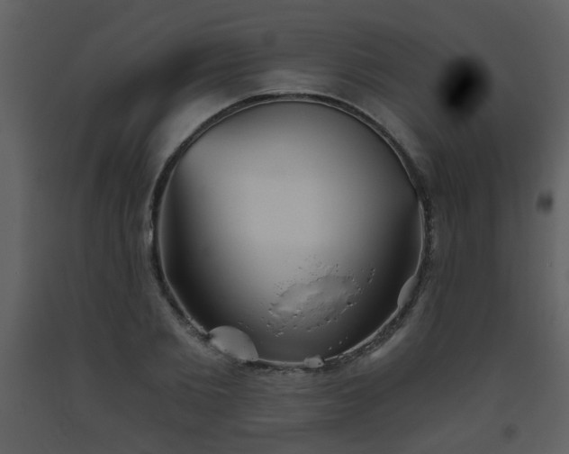 X0000093560885200710221420