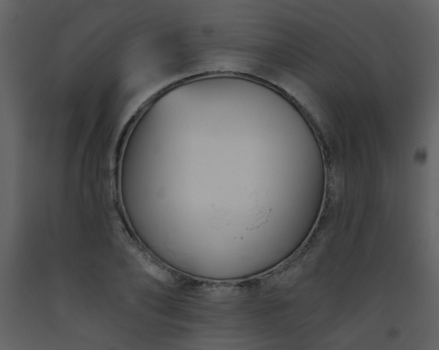 X0000093560886200710221420