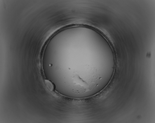 X0000093560887200710221420