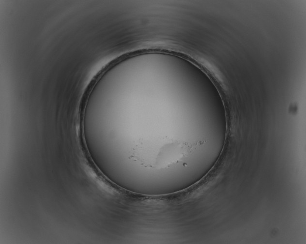 X0000093560888200710221420