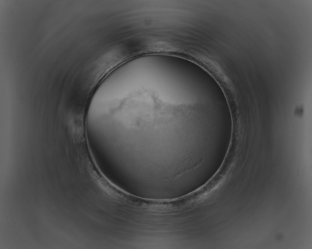 X0000093560889200710221420