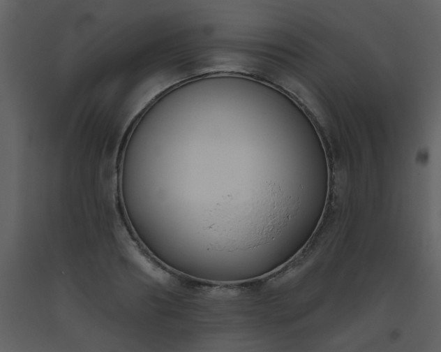 X0000093560890200710221420