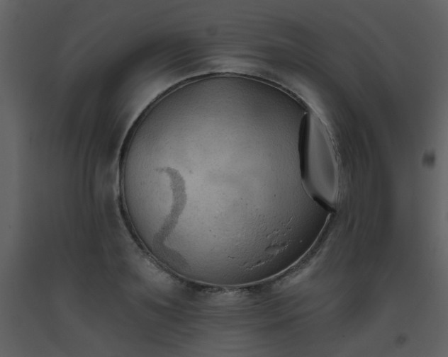 X0000093560891200710221420