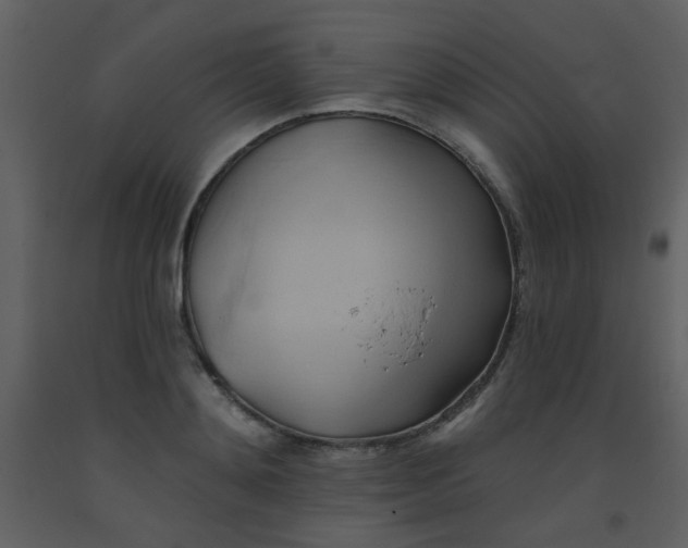 X0000093560892200710221420