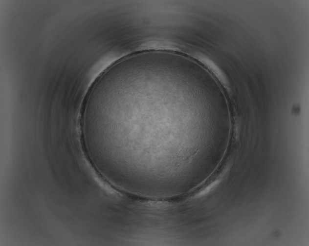 X0000093560893200710221420
