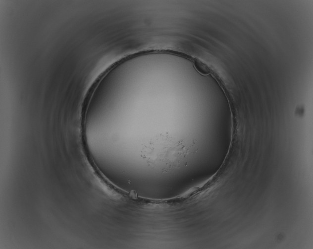 X0000093560894200710221420