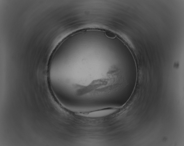 X0000093560895200710221420