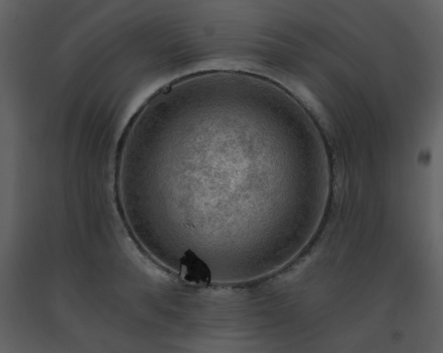 X0000093560896200710221420