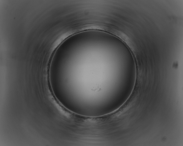 X0000093560898200710221420