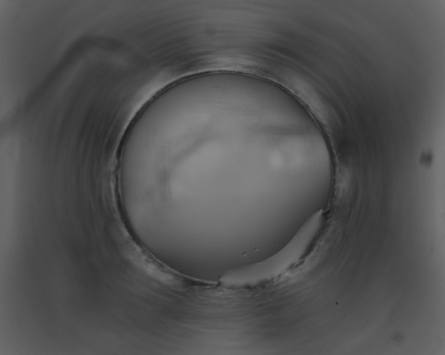 X0000093560899200710221420