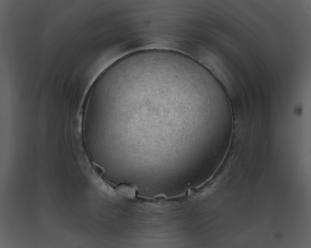 X0000093560900200710221420