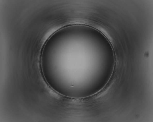 X0000093560901200710221420