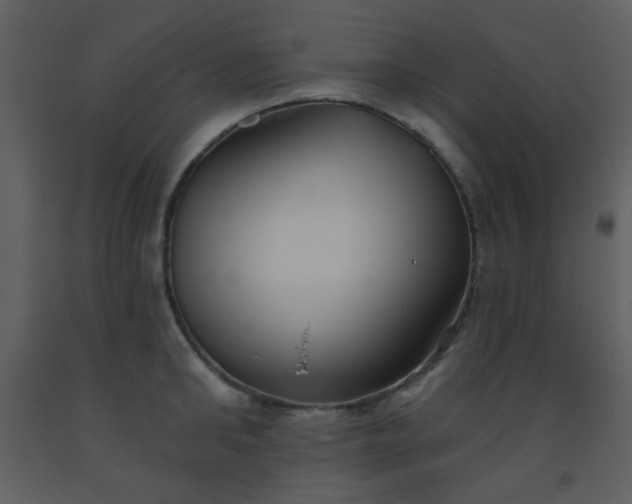 X0000093560902200710221420