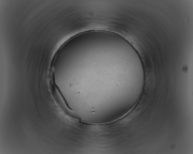X0000093560904200710221420