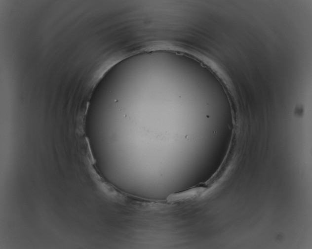 X0000093560905200710221420