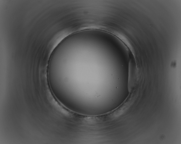 X0000093560906200710221420