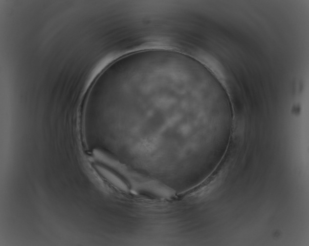 X0000093560907200710221420