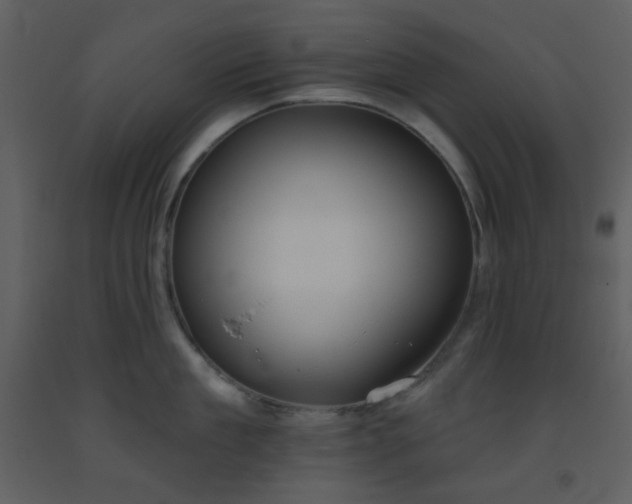 X0000093560909200710221420