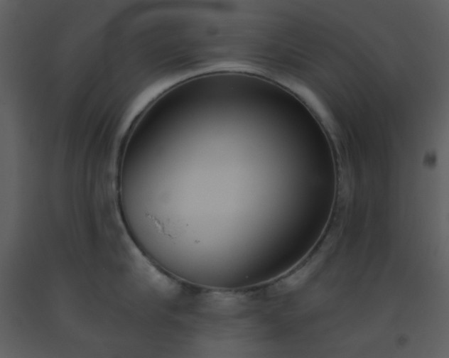 X0000093560910200710221420