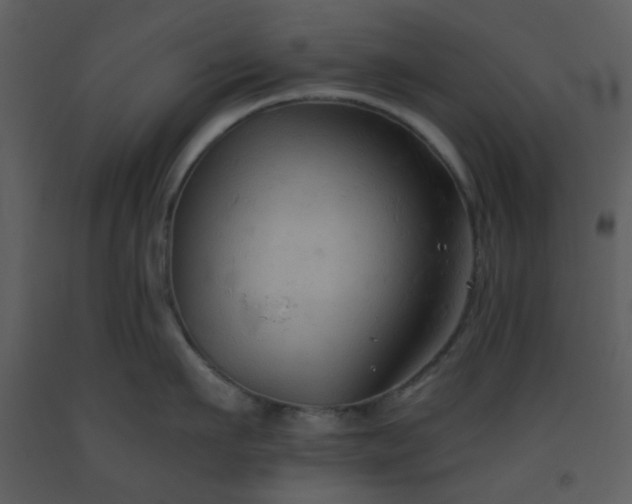 X0000093560911200710221420